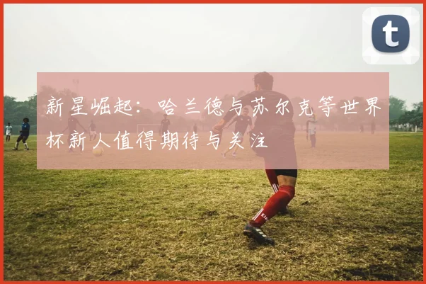 新星崛起：哈兰德与苏尔克等世界杯新人值得期待与关注