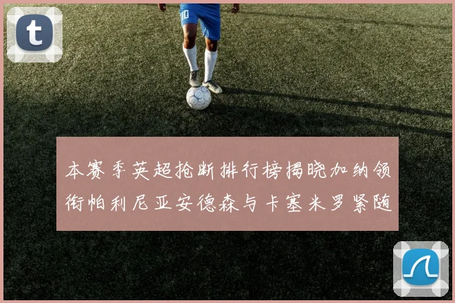 本赛季英超抢断排行榜揭晓加纳领衔帕利尼亚安德森与卡塞米罗紧随其后